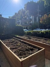 196 Tunstead Ave in San Anselmo, CA - Building Photo - Building Photo