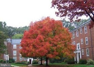 3400 39th St NW, Unit B716 in Washington, DC - Building Photo - Building Photo