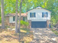 14 Painted Turtle Cv