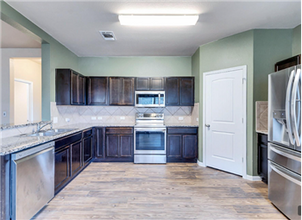 14502 Almodine Rd in Manor, TX - Building Photo - Building Photo