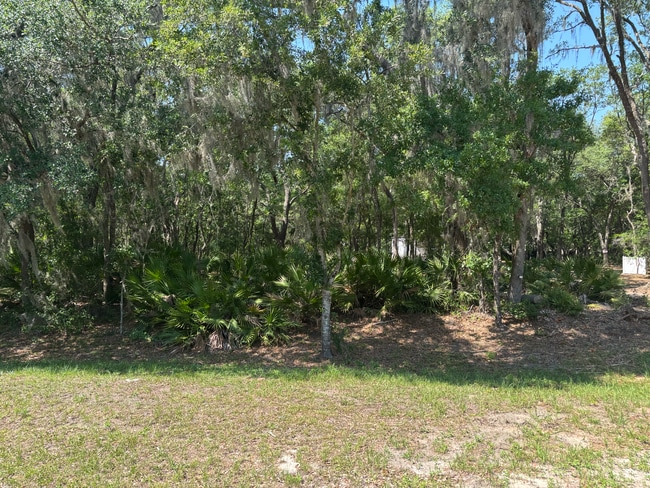 632 Lake Susan Rd in Hawthorne, FL - Building Photo - Building Photo