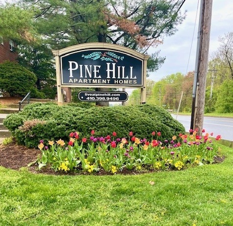 Pine Hill Apartments in Elkton, MD - Building Photo - Building Photo