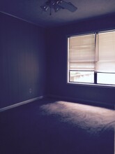 484 E University Dr in Auburn, AL - Building Photo - Building Photo