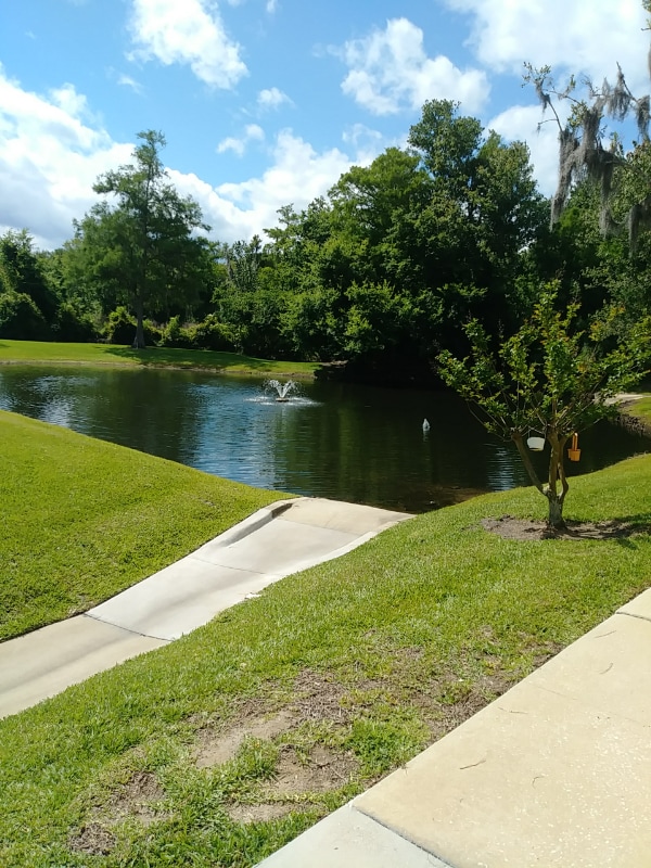 1601 Big Tree Rd in South Daytona, FL - Building Photo - Building Photo