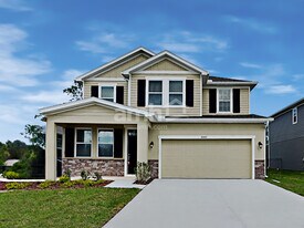 20443 Calla Lily Dr in Land O Lakes, FL - Building Photo