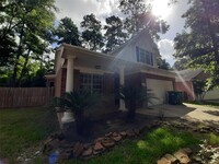 31 Willow Point Pl in Spring, TX - Building Photo - Building Photo