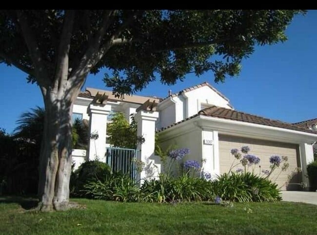 property at 5067 Dassia Way