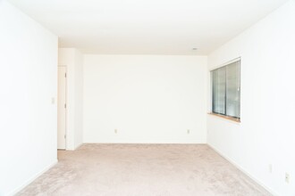 127 Blithe Ct in Charlottesville, VA - Building Photo - Building Photo