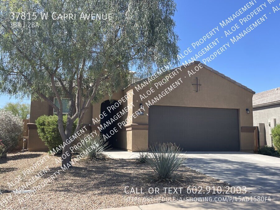 37815 W Capri Ave in Maricopa, AZ - Building Photo