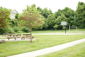 Cedarfield Apartments in Blacksburg, VA - Building Photo - Building Photo