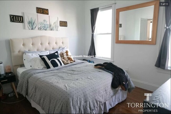 property at 19 Marney St