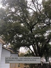 1933 Moss St in Wilmington, NC - Foto de edificio - Building Photo