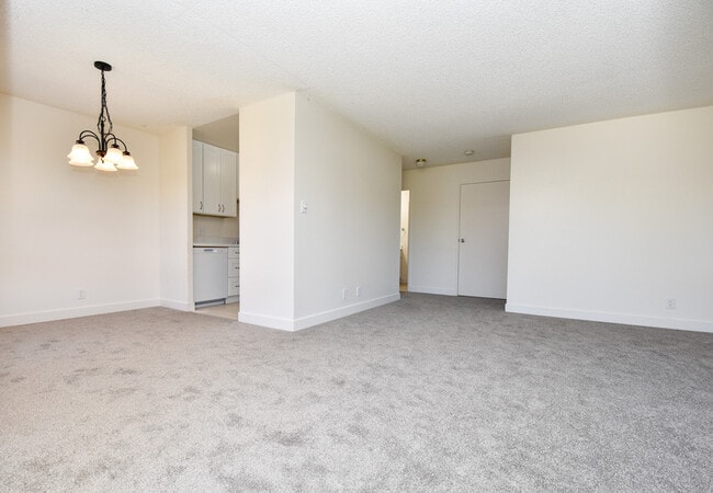 816 N Delaware St in San Mateo, CA - Building Photo - Building Photo