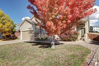 4032 Stampede Dr in Castle Rock, CO - Building Photo - Building Photo