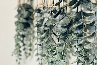 1452 Ivy St in Denver, CO - Foto de edificio - Building Photo