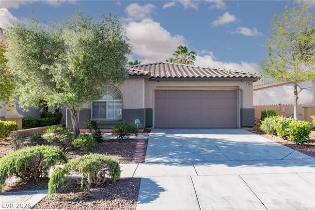 10667 April Rose Ct in Las Vegas, NV - Building Photo - Building Photo