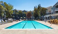 Soak up the sun beside the pool - Saybrook Pointe Apartment Homes in San Jose, California