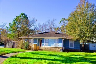 1002 Waltway Dr in Houston, TX - Building Photo