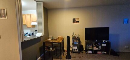 555 W Cornelia Ave in Chicago, IL - Building Photo - Building Photo