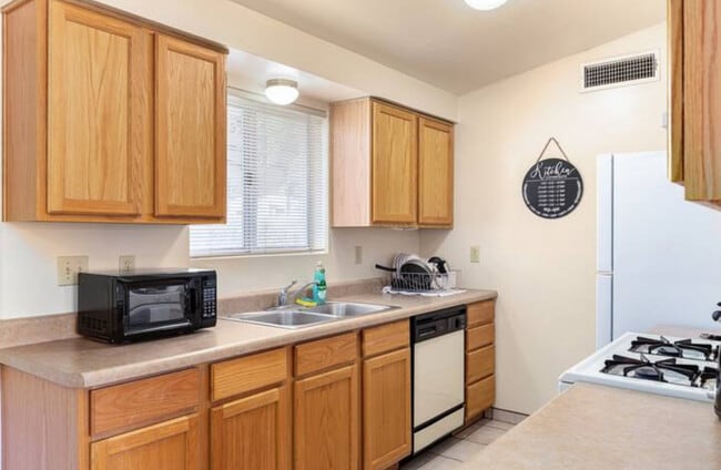 1223 N Belvedere Ave in Tucson, AZ - Building Photo - Building Photo
