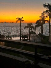 103 1st St E in Tierra Verde, FL - Building Photo - Building Photo