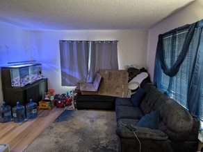 5883 El Zuparko Dr in San Jose, CA - Building Photo - Building Photo