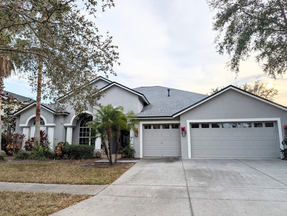 19106 Native Fern Way in Tampa, FL - Building Photo