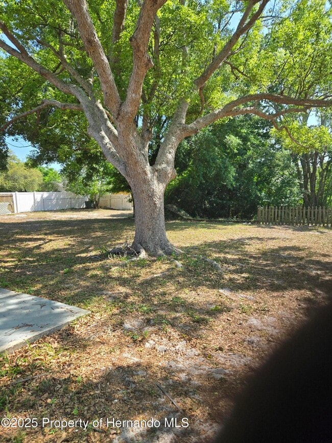 property at 1049 Barlow Ct