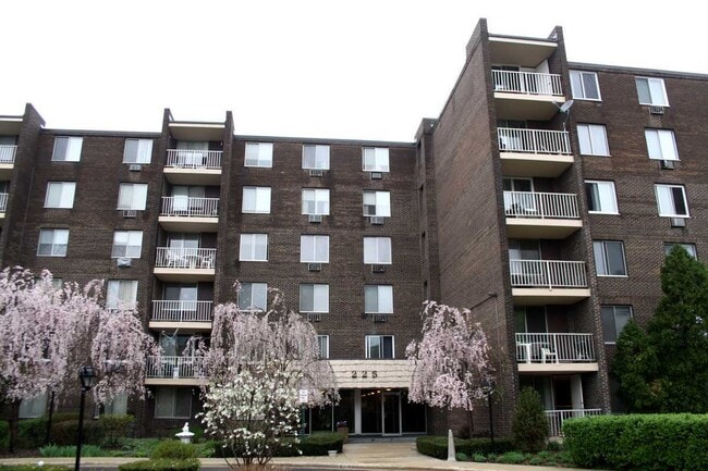 property at 225 S Rohlwing Rd