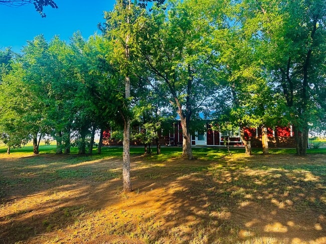 property at 19230 Loop Rd