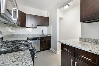 1110 W Glenlake Ave in Chicago, IL - Building Photo - Building Photo