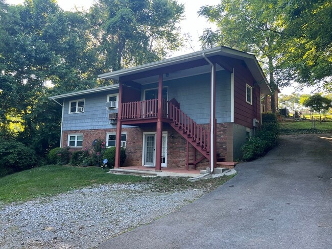 8 Vine Ln in Johnson City, TN - Foto de edificio - Building Photo