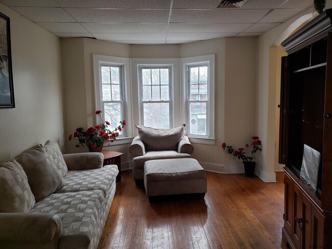 3 Bogart Terrace in Albany, NY - Building Photo - Building Photo