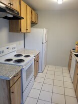 14021 Village Terrace Dr in Tampa, FL - Building Photo