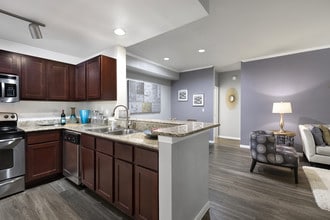 The Village At Gracy Farms in Austin, TX - Building Photo - Building Photo