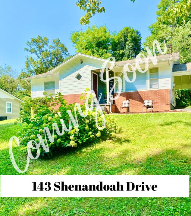 143 Shenandoah Dr in Johnson City, TN - Building Photo