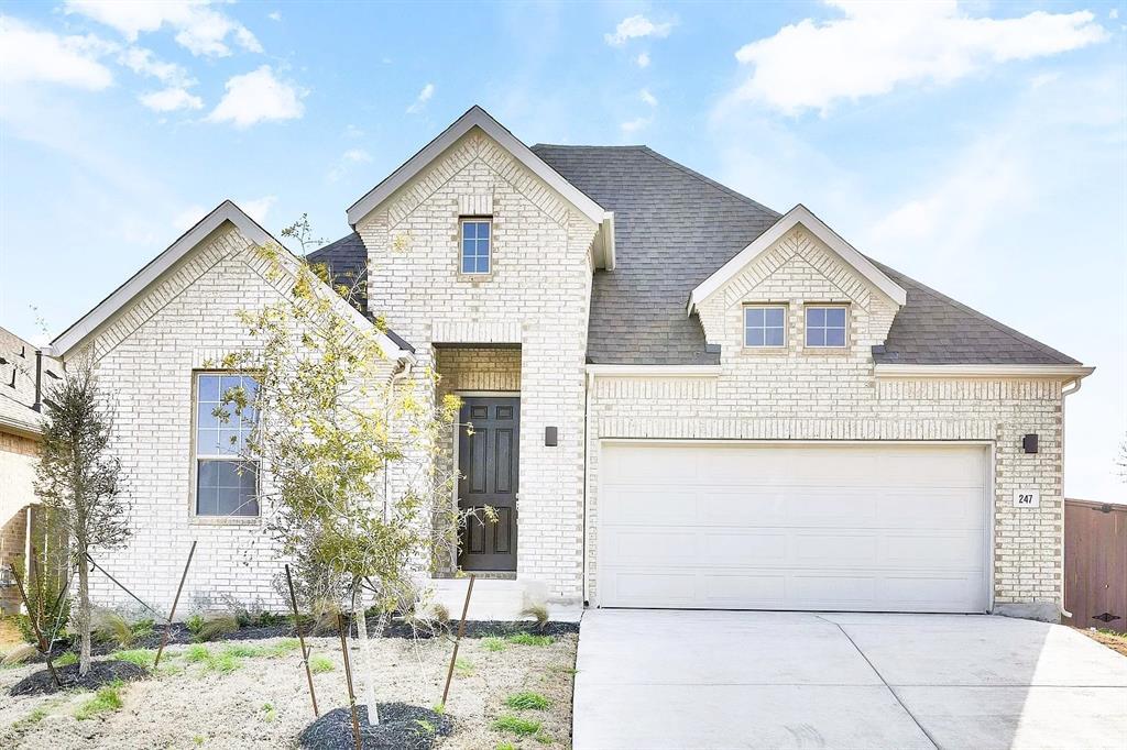 247 Du Bois Ln in Kyle, TX - Building Photo