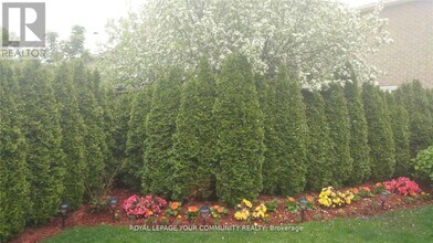 61 Nightstar Dr in Richmond Hill, ON - Building Photo - Building Photo