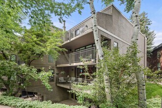 800 E Hopkins Ave in Aspen, CO - Building Photo - Building Photo
