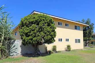 6591 Ginger Ln in Westminster, CA - Foto de edificio - Building Photo