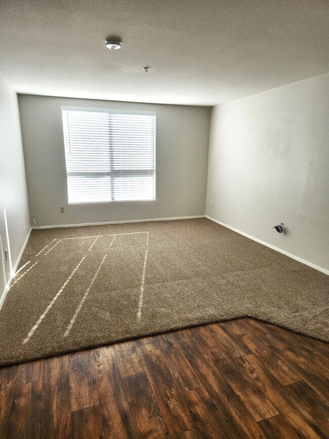 16033 N 25th St in Phoenix, AZ - Building Photo - Building Photo