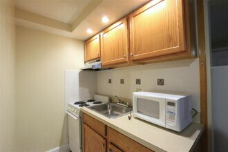 12 Mt Auburn St, Unit 2 in Cambridge, MA - Building Photo - Building Photo