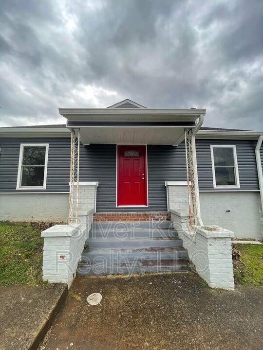 203 Green St in Athens, TN - Building Photo