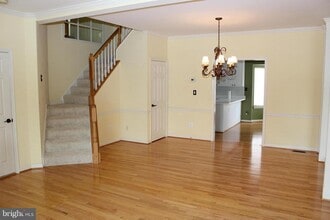 13502 Nickleback Ct in Herndon, VA - Building Photo - Building Photo