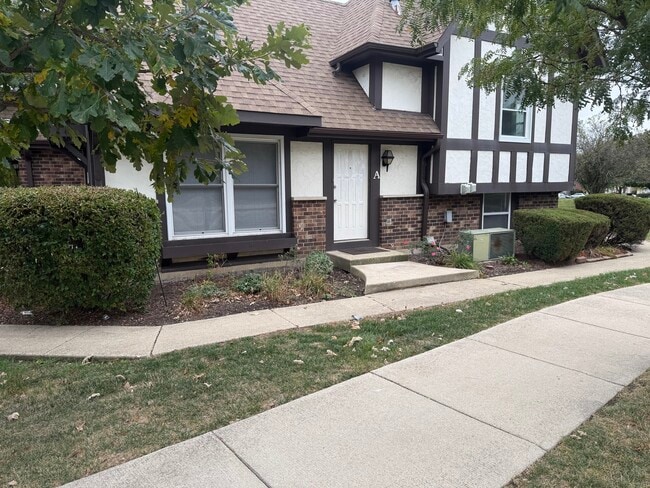 1642 Country Lakes Dr in Naperville, IL - Building Photo - Building Photo