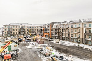Alder in St. Albert, AB - Building Photo
