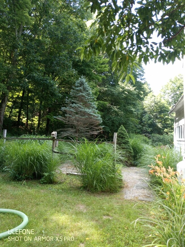 61 Christian St in New Preston Marble Dale, CT - Building Photo - Building Photo