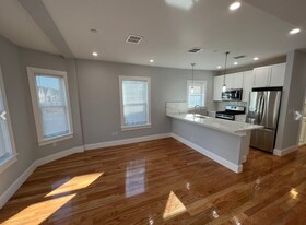 29 Alpine St in Somerville, MA - Building Photo