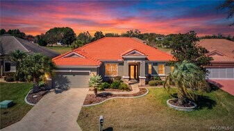 467 W Mickey Mantle Path in Hernando, FL - Building Photo