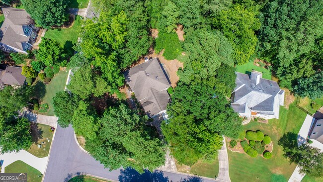 1101 Vellum Trce in Peachtree City, GA - Foto de edificio - Building Photo